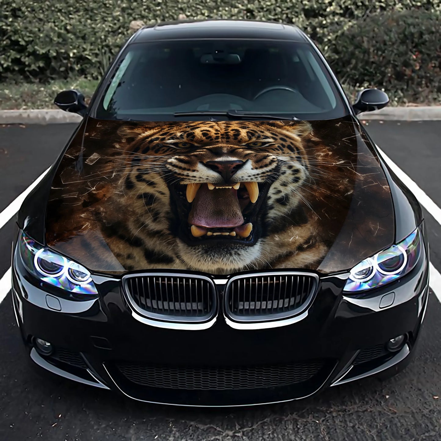 Angry Leopard Growling Hood Wrap – Custom Vinyl Decal for Cars, Trucks & SUVs