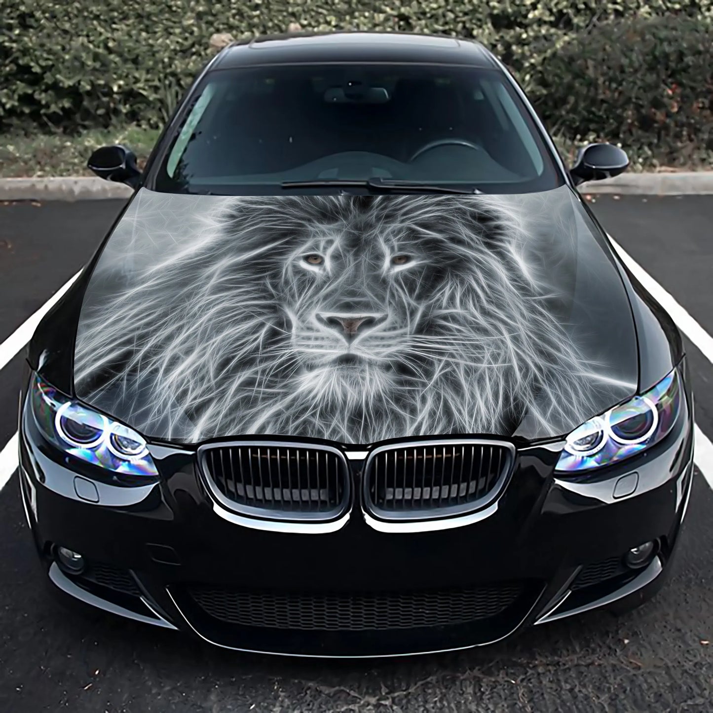 Lion Abstract Hood Wrap – Custom Vinyl Decal for Cars, Trucks & SUVs L
