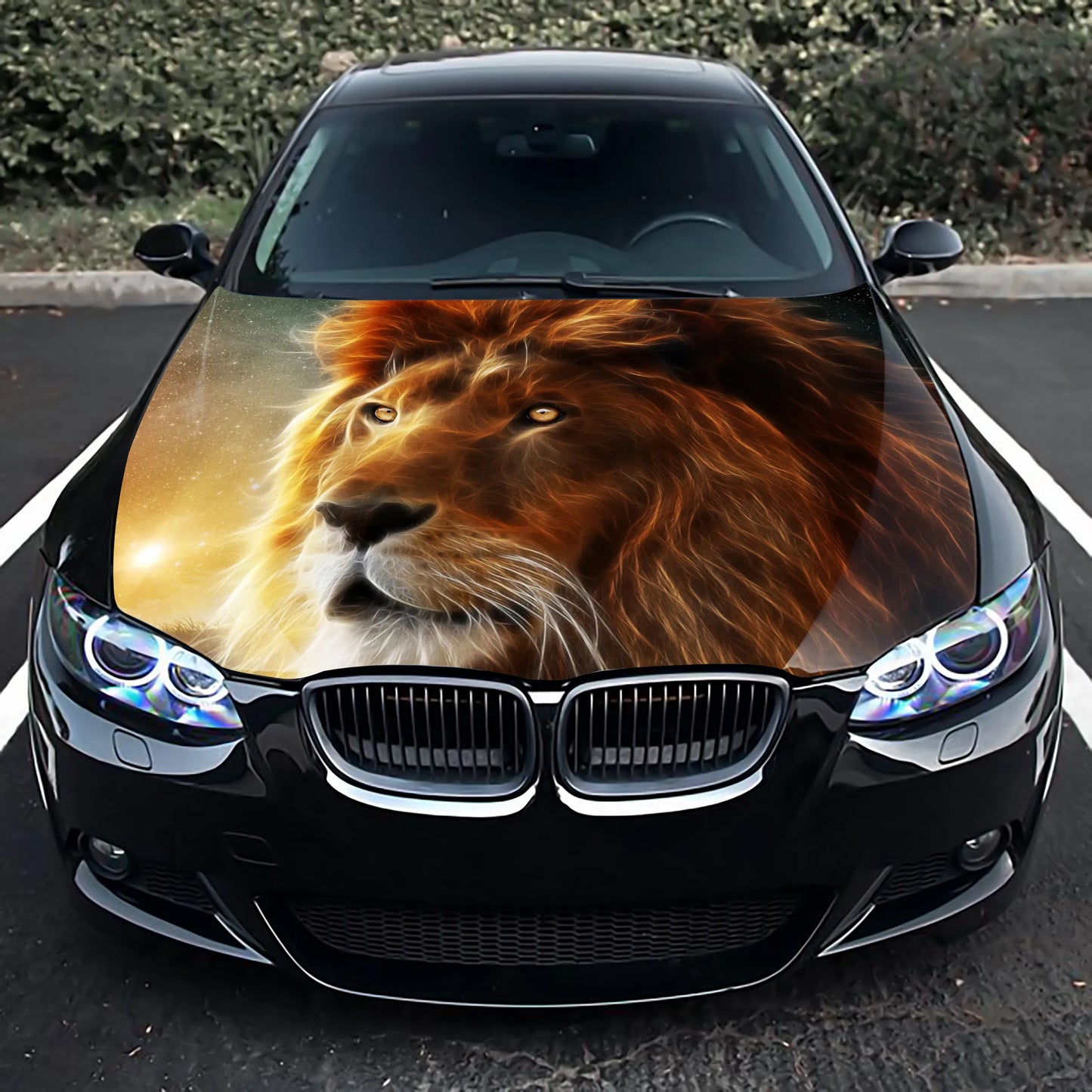 Lion Abstract Hood Wrap – Custom Vinyl Decal for Cars, Trucks & SUVs X