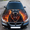 Angry Dog Pit Bull Hood Wrap – Custom Vinyl Decal for Cars, Trucks & SUVs