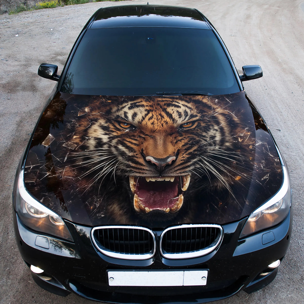 Angry Tiger Growling Hood Wrap – Custom Vinyl Decal for Cars, Trucks & SUVs