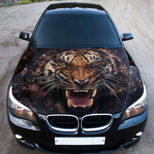 Angry Tiger Growling Hood Wrap – Custom Vinyl Decal for Cars, Trucks & SUVs