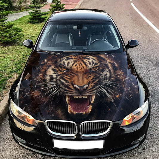 Angry Tiger Growling Hood Wrap – Custom Vinyl Decal for Cars, Trucks & SUVs