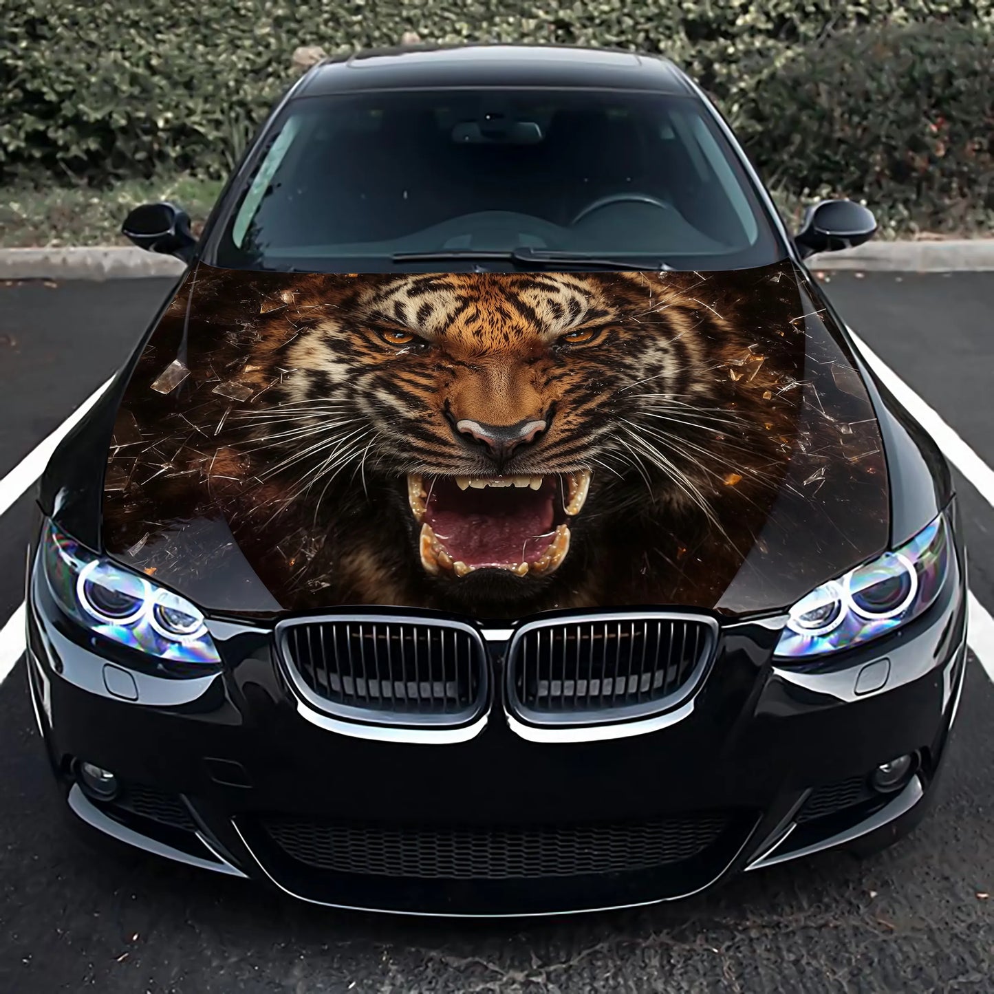Angry Tiger Growling Hood Wrap – Custom Vinyl Decal for Cars, Trucks & SUVs
