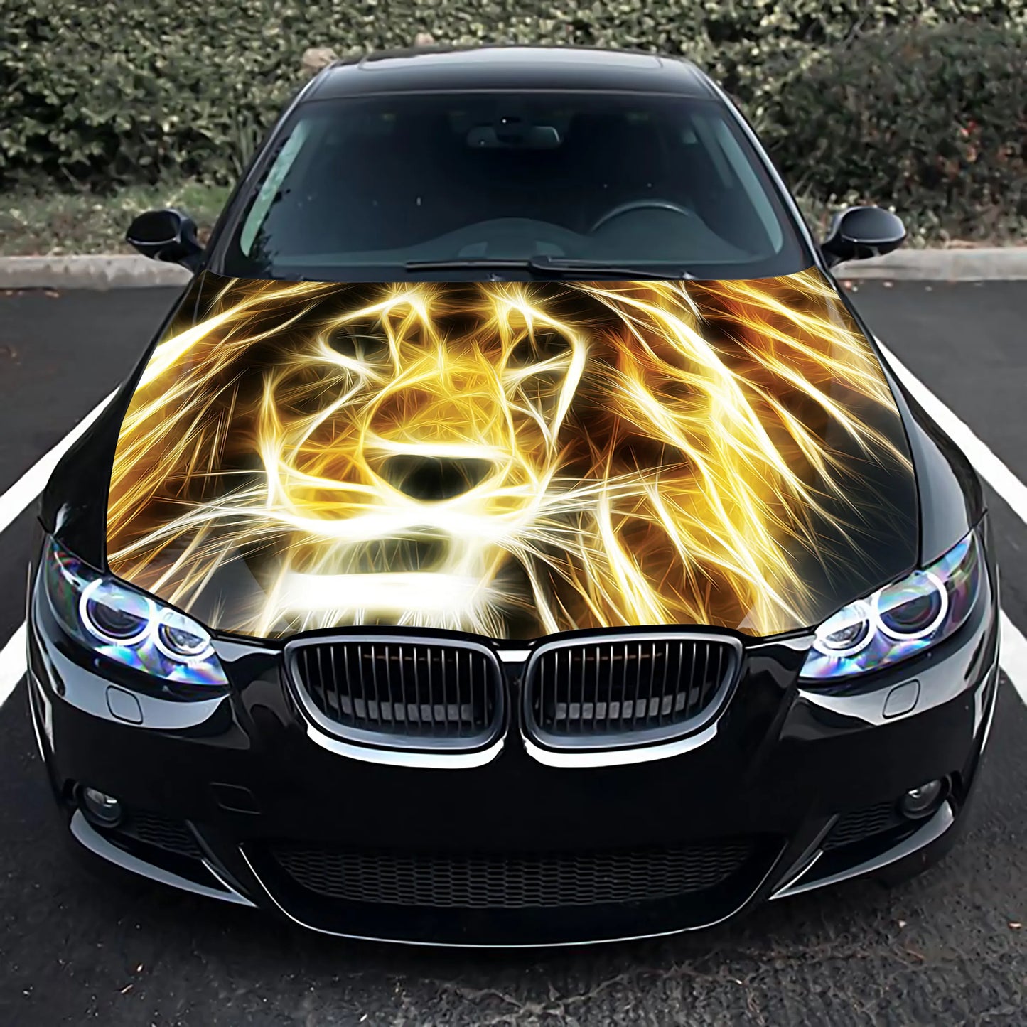 Lion Abstract Hood Wrap – Custom Vinyl Decal for Cars, Trucks & SUVs
