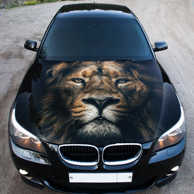 Lion Hood Wrap