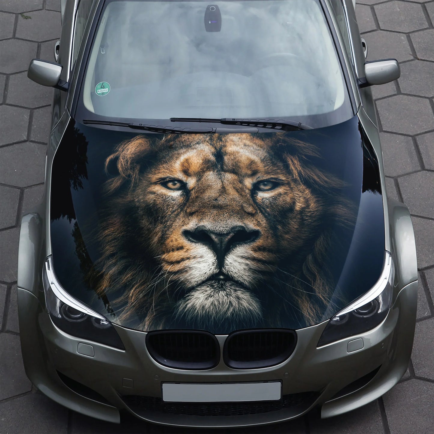 Lion Hood Wrap – Custom Vinyl Decal for Cars, Trucks & SUVs