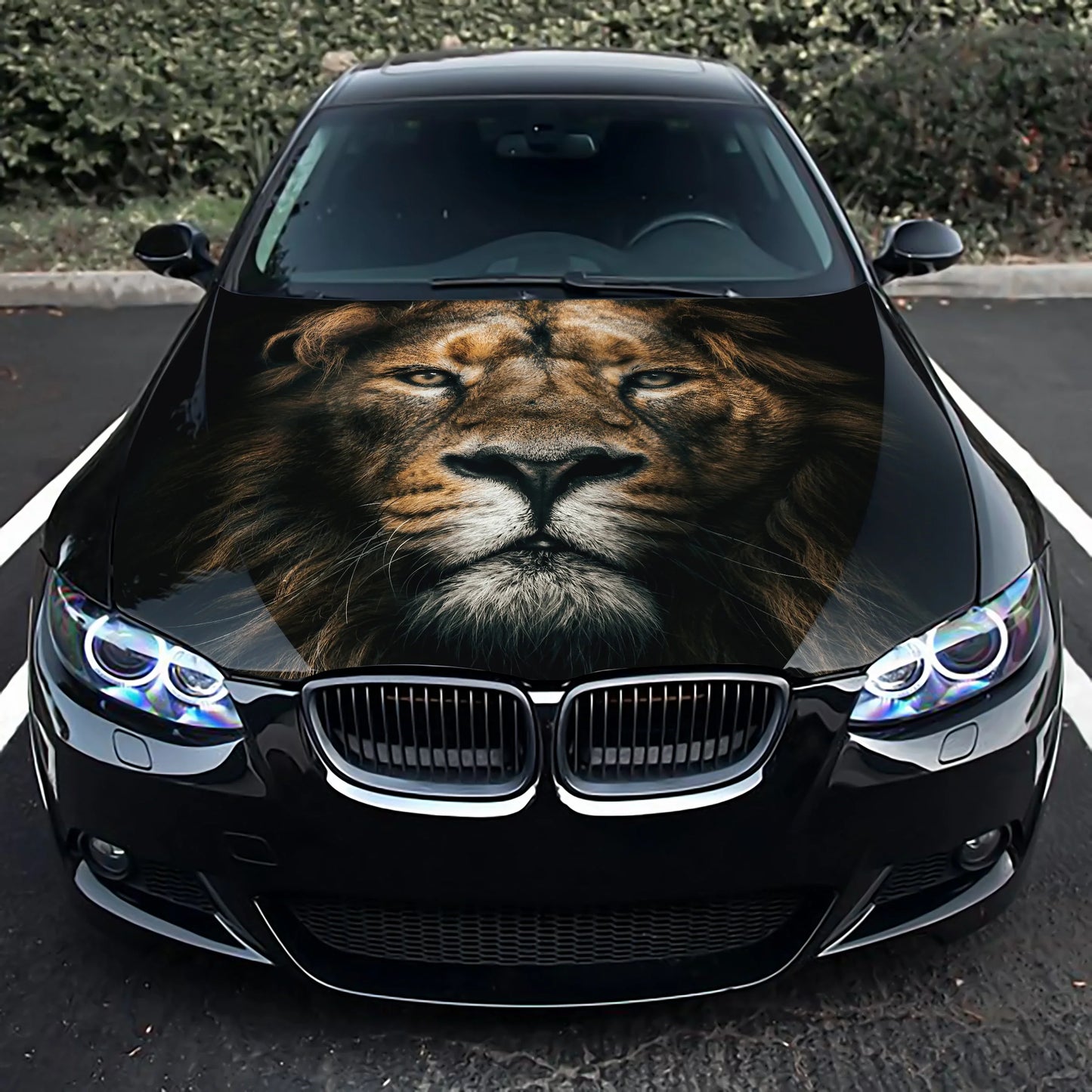 Lion Hood Wrap – Custom Vinyl Decal for Cars, Trucks & SUVs