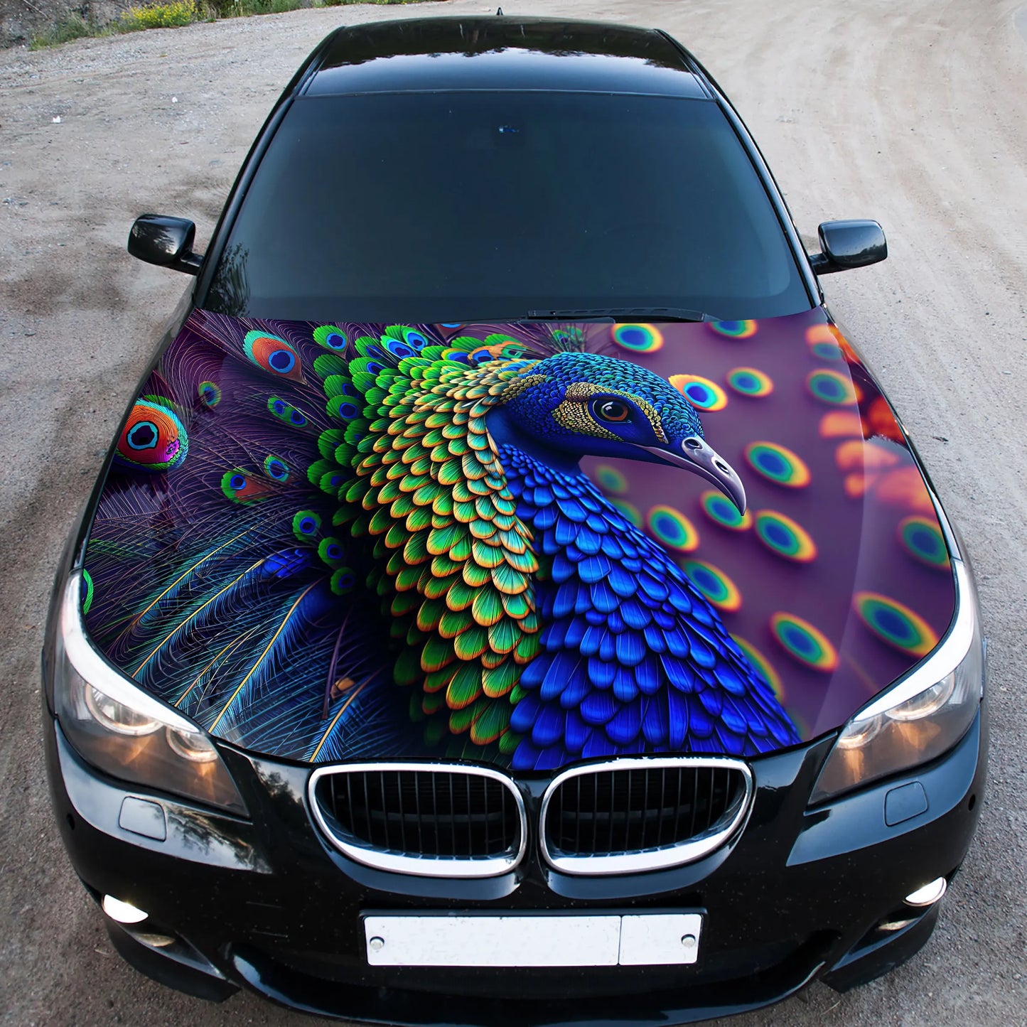 Peafowl Peacock Hood Wrap – Custom Vinyl Decal for Cars, Trucks & SUVs