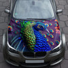 Peafowl Peacock Hood Wrap – Custom Vinyl Decal for Cars, Trucks & SUVs
