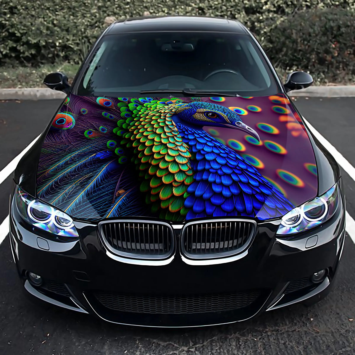 Peafowl Peacock Hood Wrap – Custom Vinyl Decal for Cars, Trucks & SUVs