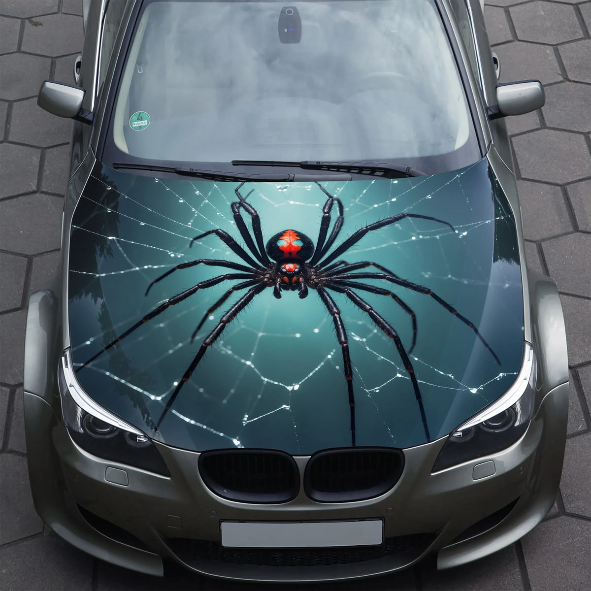 Redback Spider Hood Wrap – Custom Bonnet Vinyl Decal for Cars, Trucks & SUVs
