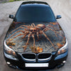 Spider Web Art Hood Wrap – Custom Vinyl Decal for Cars, Trucks & SUVs