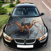 Spider Web Hood Wrap – Custom Vinyl Decal for Cars, Trucks & SUVs