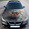 Spider Web Hood Wrap – Custom Vinyl Decal for Cars, Trucks & SUVs