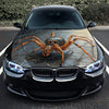 Spider Web Hood Wrap – Custom Vinyl Decal for Cars, Trucks & SUVs